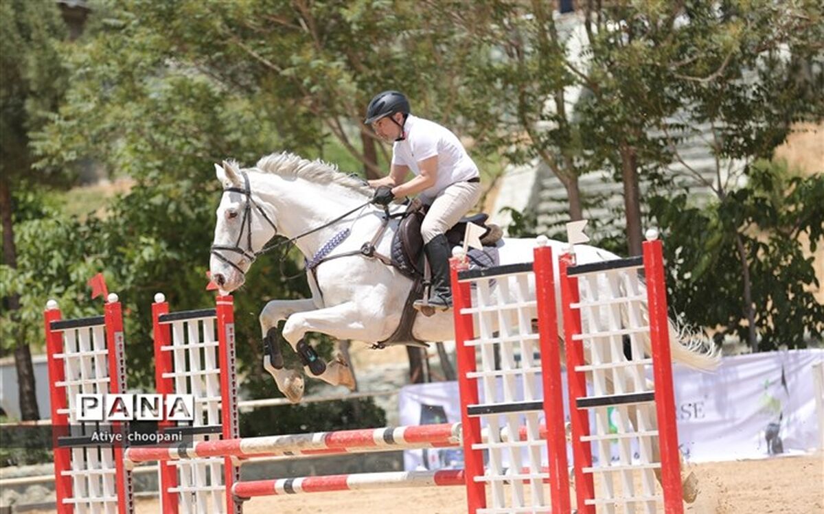 هیأت رئیسه تحقیق و تفحص از فدراسیون سوارکاری مشخص شد