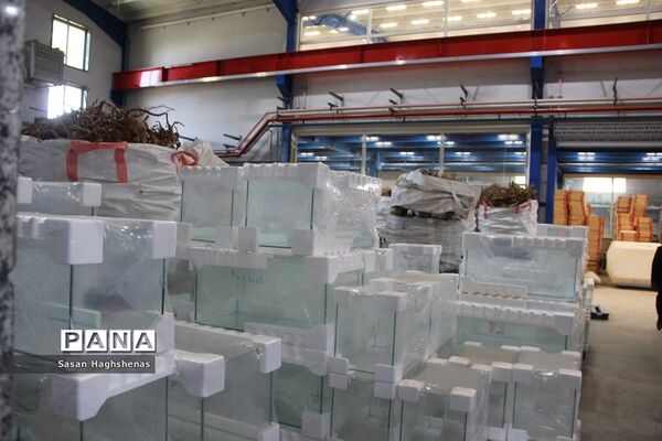 بازدید استاندار تهران از شرکت ماهیران در احمدآباد مستوفی