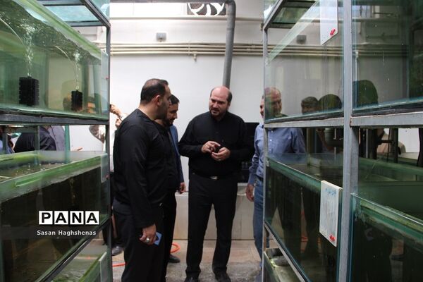 بازدید استاندار تهران از شرکت ماهیران در احمدآباد مستوفی