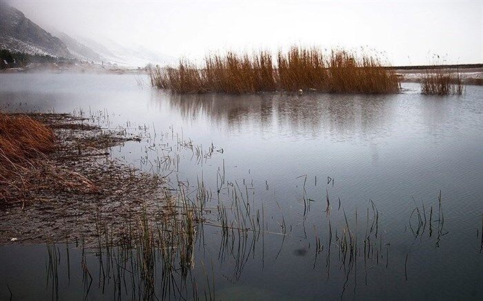 ثبت جهانی تالاب جازموریان به کجا رسید؟