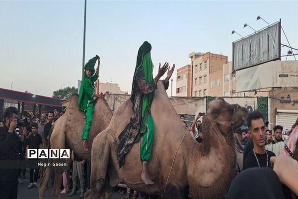 «کاروان اسرا» هیات دخیل العباس در قم-1