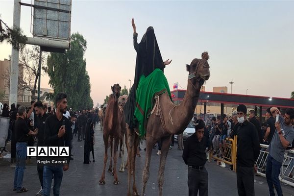 «کاروان اسرا» هیات دخیل العباس در قم-1