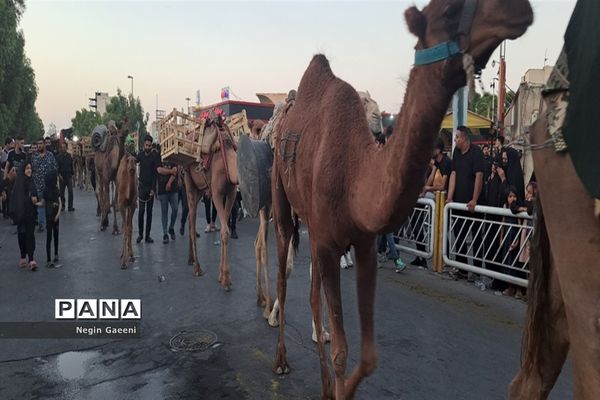 «کاروان اسرا» هیات دخیل العباس در قم-1