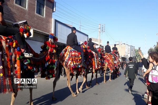 کاروان نمادین «اسرای کربلا» در قم-3