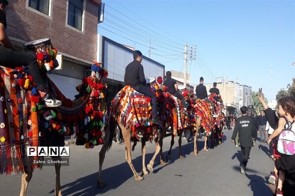 کاروان نمادین «اسرای کربلا» در قم-3