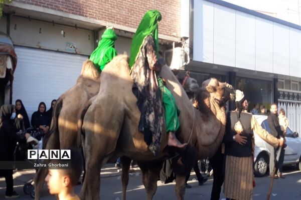 کاروان نمادین «اسرای کربلا» در قم-3