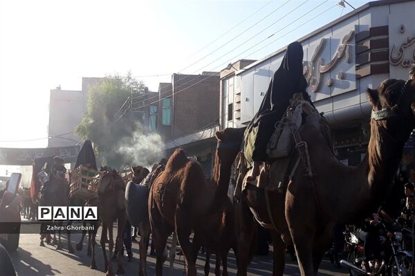 کاروان نمادین «اسرای کربلا» در قم-3
