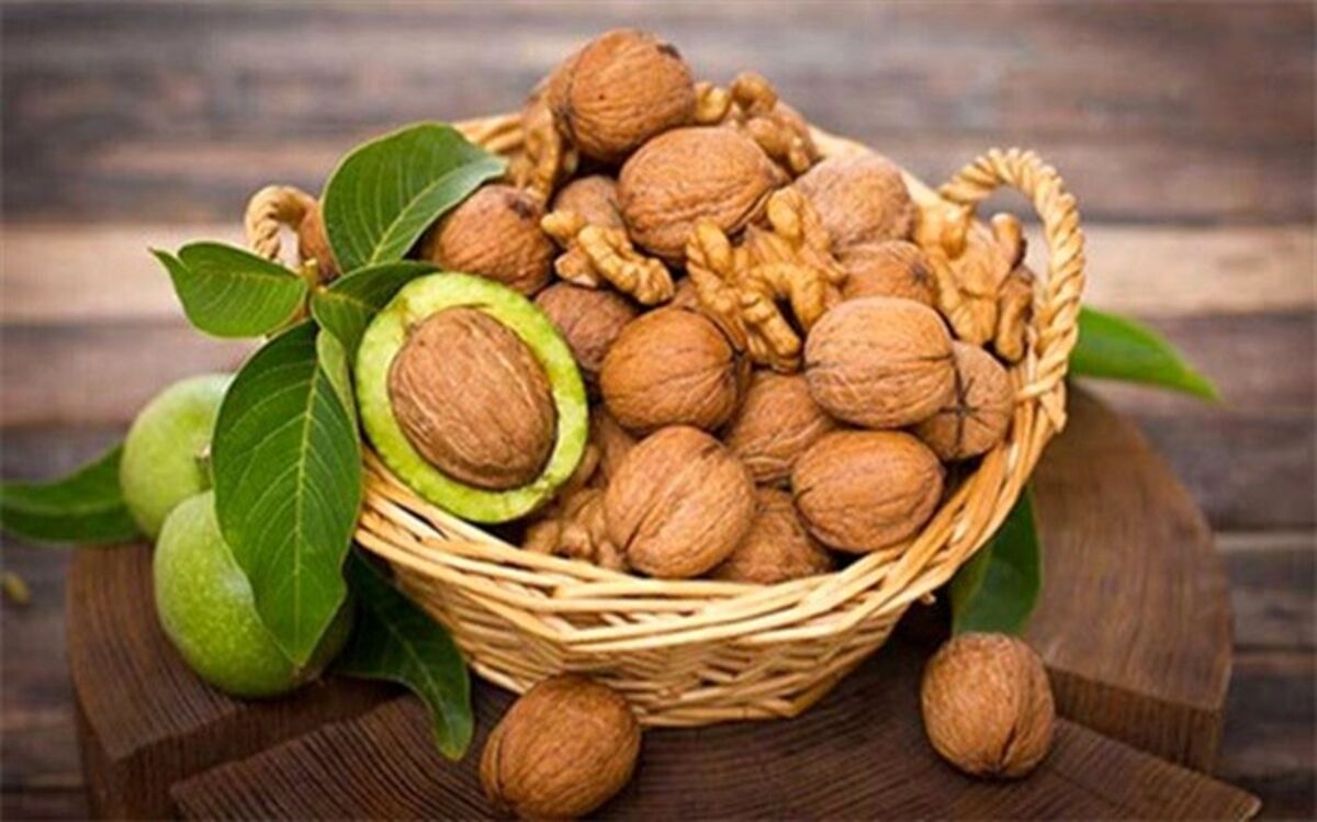 همه چیز درباره خواص گردو و مضرات آن