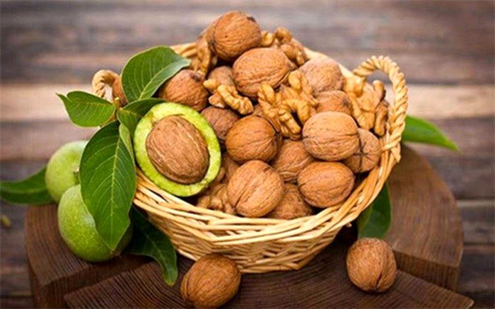 همه چیز درباره خواص گردو و مضرات آن