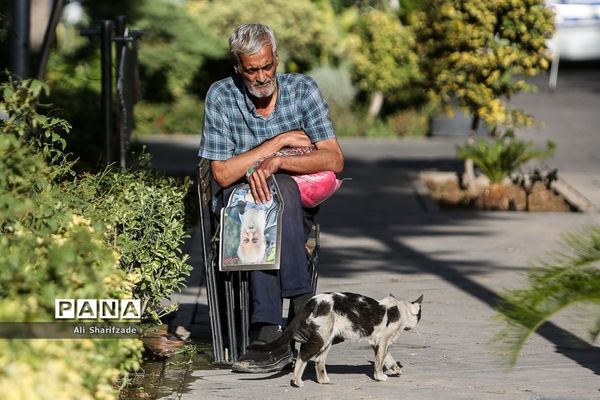 مراسم تشییع پیکر هوشنگ ابتهاج