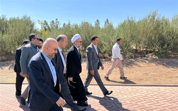 جزئیات بازدید رئیس دیوان عدالت اداری از پروژه فراملی سرزمین ایرانیان