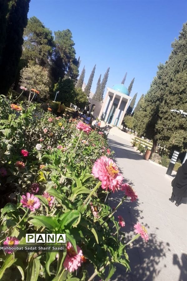 آرامگاه مشرف‌الدین (سعدی)