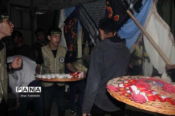 حضور دانش‌آموزان  شهر تهران در اردوی قطب 1 سازمان دانش آموزی