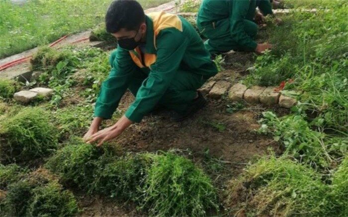 چرا کشاورزان به فارغ‌التحصیلان هنرستان‌های کشاورزی اعتماد نمی‌کنند