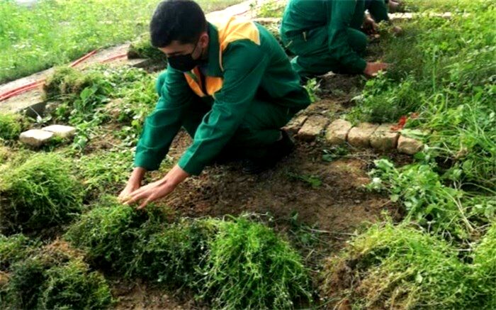 چرا کشاورزان به فارغ‌التحصیلان هنرستان‌های کشاورزی اعتماد نمی‌کنند
