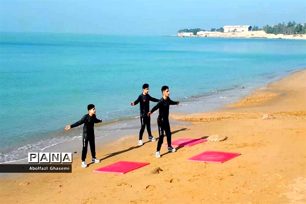 وزارت ورزش با تمدید ماموریت افشین ملایی مخالفت کرد
