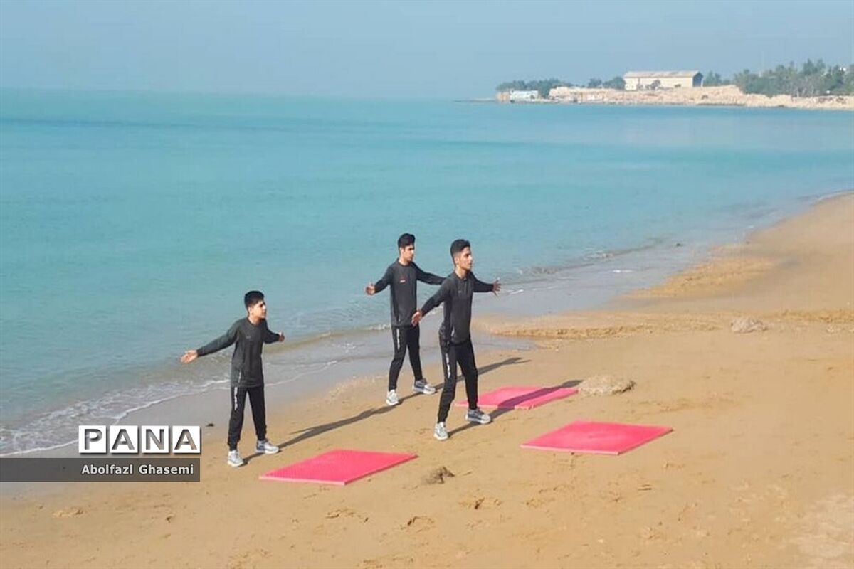 وزارت ورزش با تمدید ماموریت افشین ملایی مخالفت کرد
