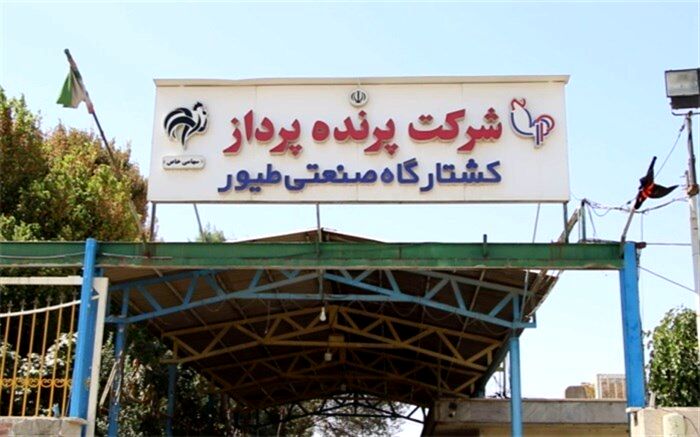 کشتارگاه صنعتی طیور شرکت «پرنده‌پرداز» با حمایت‌های قضایی از ورشکستگی خارج شد