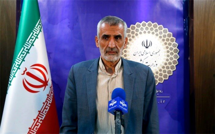 هماهنگی مستمر با دولت عراق برای مدیریت زائران اربعین انجام می‌شود