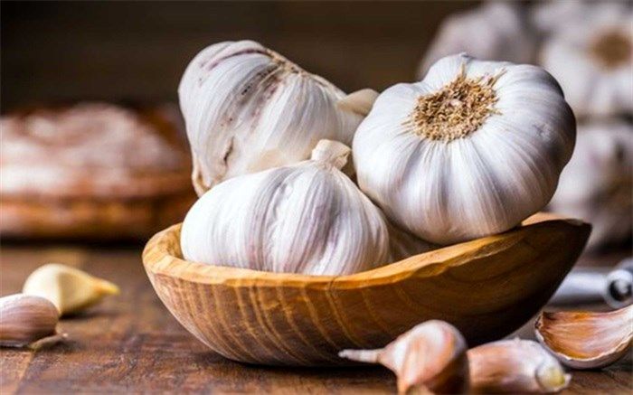 فواید و مضرات سیر