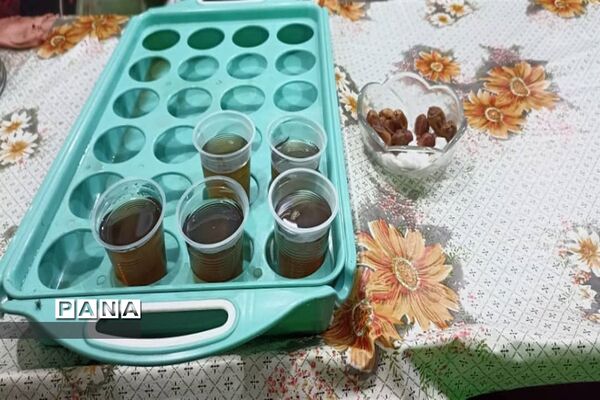 پذیرایی از زوار اربعین در اندیمشک