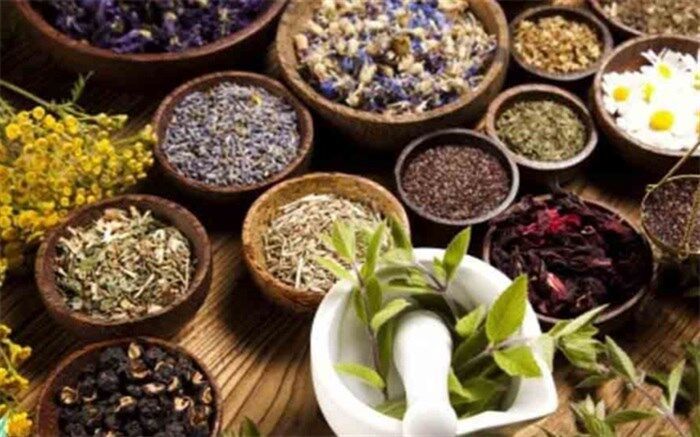این گیاهان بی‌اشتهایی را برطرف می‌کنند