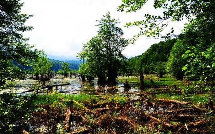 معرفی جاذبه‌های گردشگری دریاچه ارواح استان مازندران