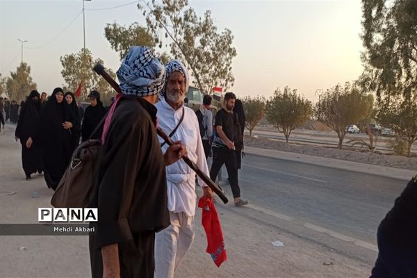 عاشقان حسینی در مسیر شهرنجف به کربلا