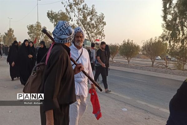 عاشقان حسینی در مسیر شهرنجف به کربلا