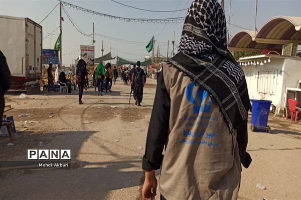 عاشقان حسینی در مسیر شهرنجف به کربلا