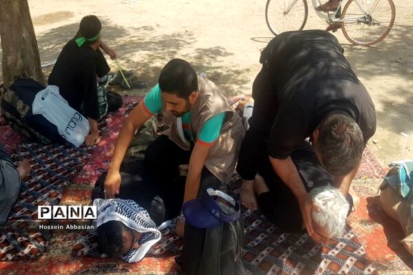 برپایی موکب‌های خدماتی کشورهای مختلف در مسیر نجف به کربلا