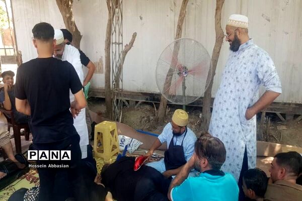 برپایی موکب‌های خدماتی کشورهای مختلف در مسیر نجف به کربلا