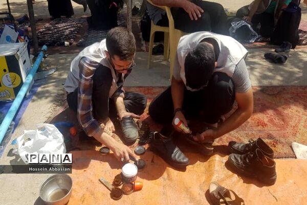 برپایی موکب‌های خدماتی کشورهای مختلف در مسیر نجف به کربلا