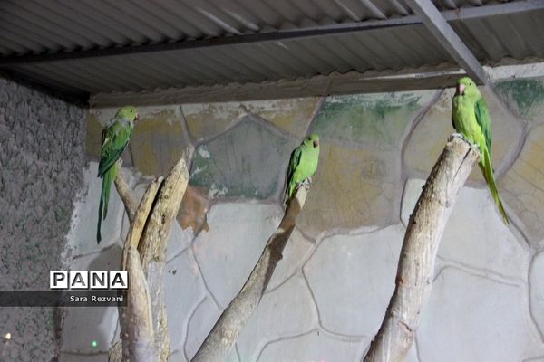 باغ پرندگان شهر مشهد