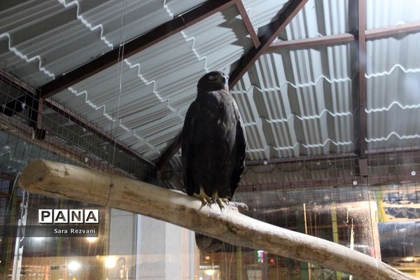 باغ پرندگان شهر مشهد