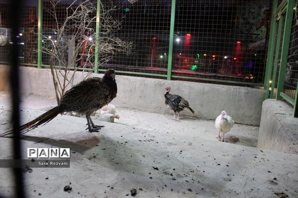 باغ پرندگان شهر مشهد