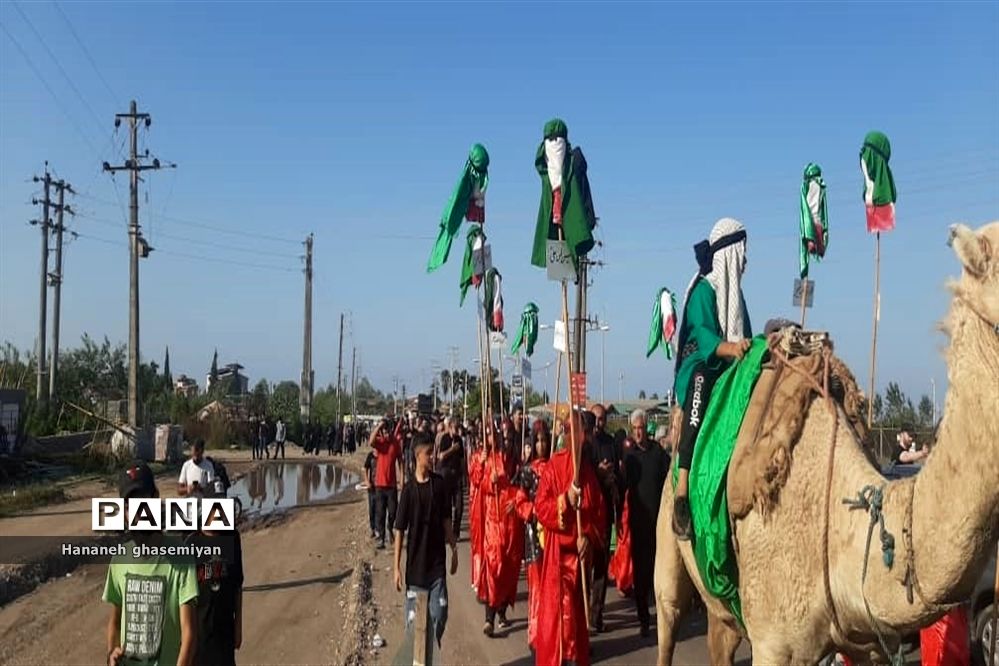 پیاده‌روی جاماندگان  اربعین حسینی در عباس‌‍آباد-مازندران