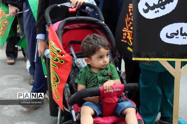 پیاده‌روی بزرگ اربعین در رکاب زینب شهرستان ساری