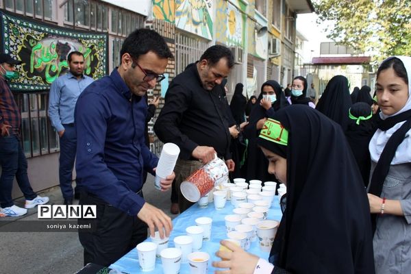 پیاده‌روی بزرگ اربعین در رکاب زینب شهرستان ساری