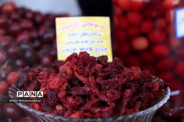 یاقوت ناب کلیبر از تولید تا فرآوری