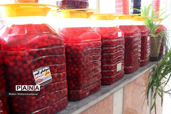 یاقوت ناب کلیبر از تولید تا فرآوری