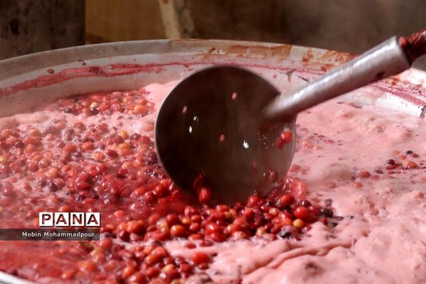 یاقوت ناب کلیبر از تولید تا فرآوری