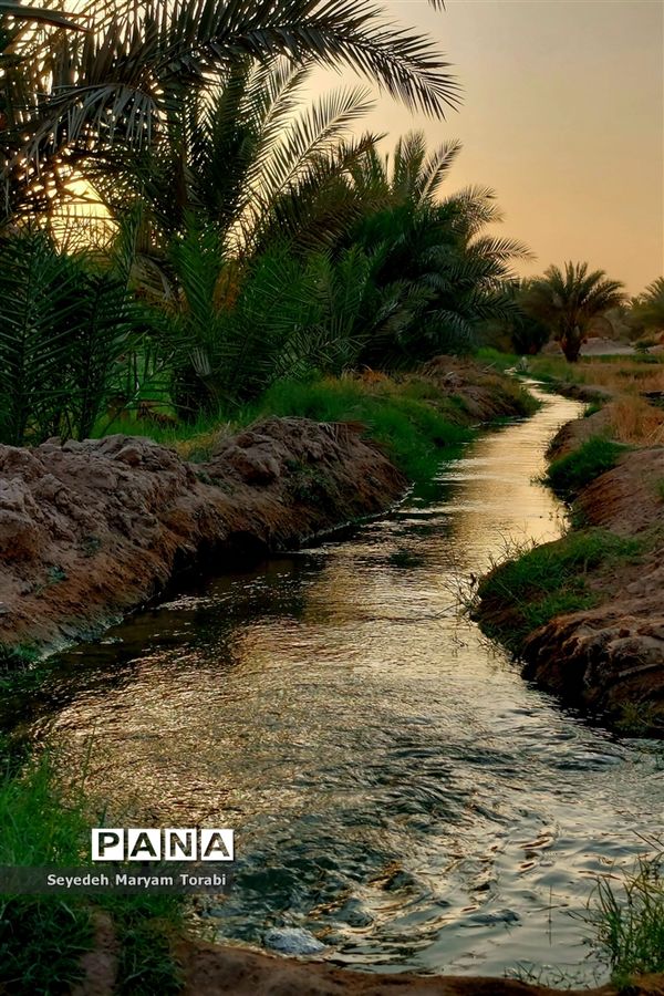 در مسیر بهشت، از مرز تا نجف