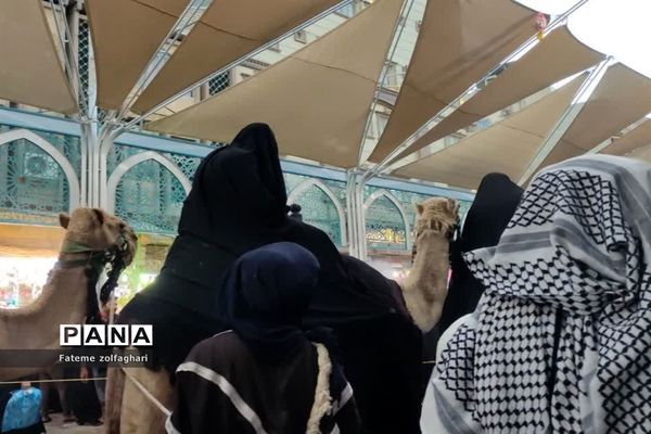 حال و هوای کربلای معلی در ایام اربعین حسینی