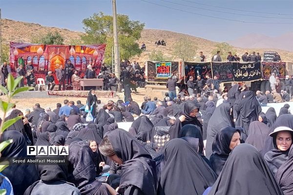 راهپیمایی جاماندگان اربعین حسینی در شهرستان اقلید استان فارس