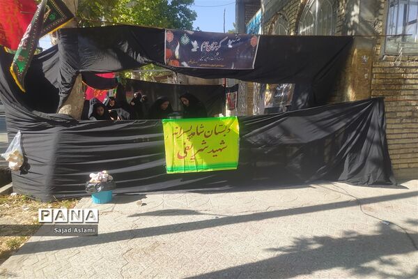 راهپیمایی جاماندگان اربعین حسینی در شهرستان اقلید استان فارس