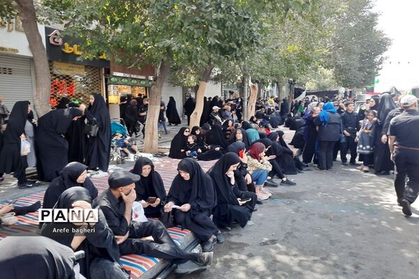 پیاده‌روی اربعین حسینی در جوار حرم مطهر رضوی