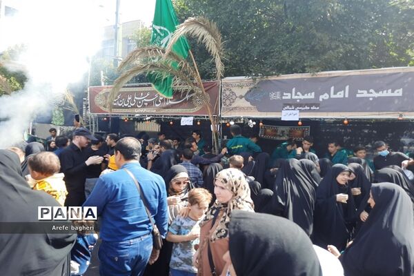 پیاده‌روی اربعین حسینی در جوار حرم مطهر رضوی
