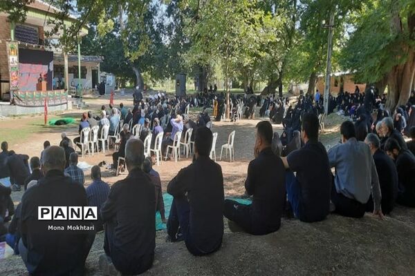 مراسم راهپیمایی جاماندگان اربعین در روستای دارابکلا میاندورود