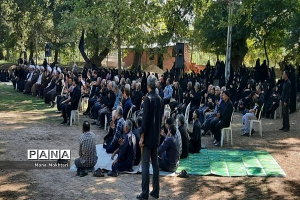 مراسم راهپیمایی جاماندگان اربعین در روستای دارابکلا میاندورود